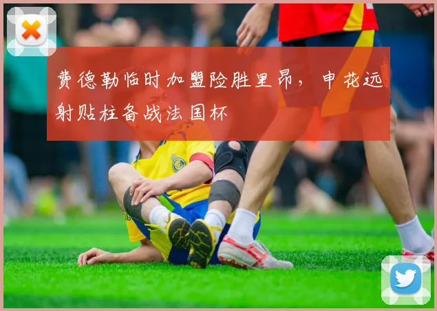 费德勒临时加盟险胜里昂，申花远射