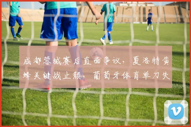 成都蓉城赛后直面争议，夏洛特黄蜂